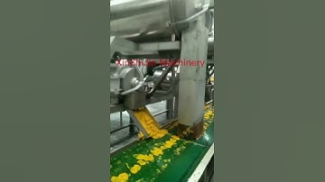 Automatic single channel and double channel mango pulping machine Customer test machine effect