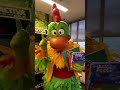 Gallo Pipe sorteará packs de libros para celebrar el Día de la Niñez 🎁🎉📚@gallopipeoficial