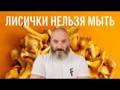 How to Properly Fry and Freeze Chanterelles. Mikhail Vishnevsky