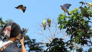 Download Lagu BERBURU BURUNG PUNAI DI HUTAN KETIKA LAGI BERKUMPUL SEHABIS MAKAN BUAH MP3 Download Lagu BERBURU BURUNG PUNAI DI HUTAN KETIKA LAGI BERKUMPUL SEHABIS MAKAN BUAH MP3