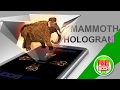 MAMMOTH Screen UP - Pyramid Hologram Technology - PixelBoom CG