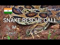 Snake Rescue Call - wildlife documentary film, conflict between humans and venomous snakes in India