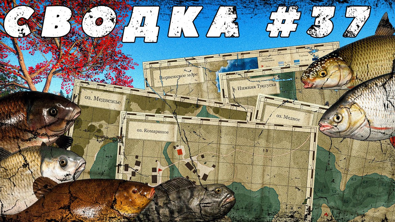 СВОДКА ПО ВОДОЁМАМ №37 | ФАРМ СЕРЕБРА | РАЗДАЧА ТРОФЕЕВ | УСАЧ | ЛИНЬ ЗОЛОТИСТЫЙ | ЯЗЬ | ВЫРЕЗУБ