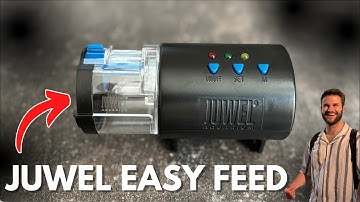 Juwel Easy Feed How To Use & Set Up - Automatic Fish Feeder Review