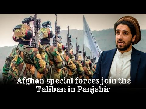 A large number of Afghan special forces join the Taliban in Panjshir / breaking news