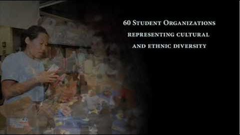 GW International Video