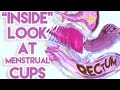 An &quot;Inside&quot; Look at Menstrual Cups