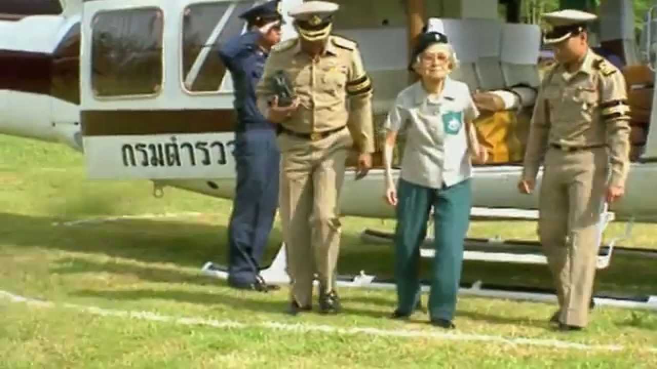 นิทรรศการ 