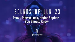 Provi, Pierre Leck, Hadar Sopher - You Should Know (Legendado)