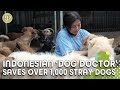 Indonesian &quot;Dog Doctor&#39; saves over 1,000 stray dogs