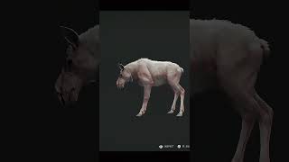 Two Rare Fur Moose Found in Multiplayer! | Call of the Wild #cotw #gaming #deer #gameplay #hunting