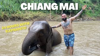 24 Hours with ELEPHANTS in Chiang Mai, Thailand 🇹🇭