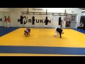 Koryu Uchinadi Ukemi-waza
