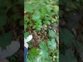 Schöner pfad es geht bald weiter