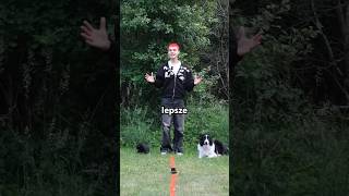 Psy Vs Koty Psy Vs Koty