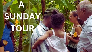 Shorts From A Food Forest Tour With Questions And Answers