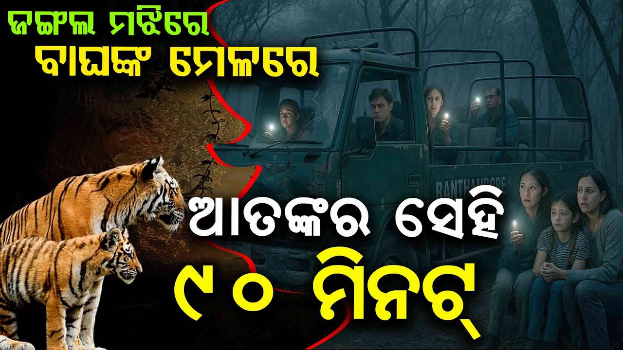 Tourists Stranded 90 Minutes At Zone 6 Ranthambore National Park In Rajasthan After Canter Breakdown