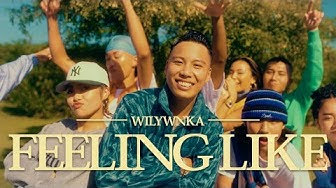 WILYWNKA - Feeling Like... (Prod. Brasstracks)
