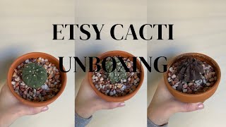 Etsy Cacti Unboxing