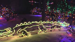 Lights Before Christmas Toledo Zoo