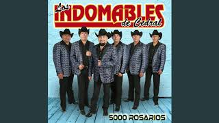 LA BRONCA  - LOS INDOMABLES