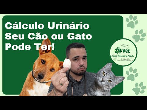 Vídeo: O que provoca o cabelo grisalho prematuro em cães?