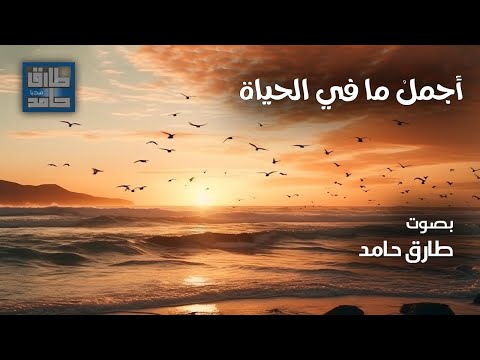 أجمل ما في الحياة طارق حامد