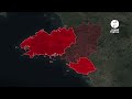 Pourquoi les punaises des champs envahissent la France (et surtout l’Ouest)