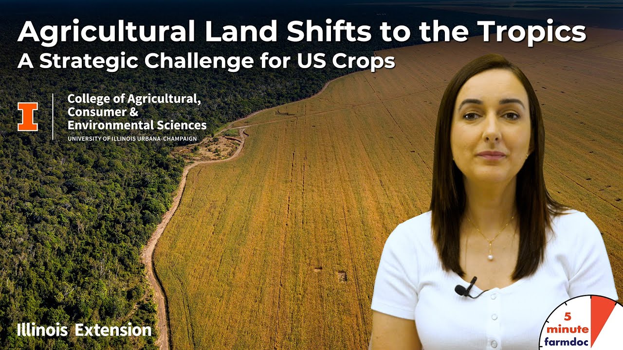 Agricultural Land Shifts to the Tropics