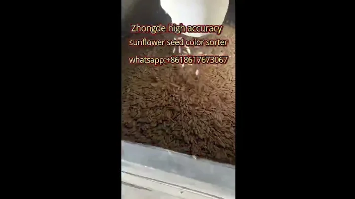 Zhongde Sunflower seed Color Sorter machine working video from the customer #color #sorting #seed