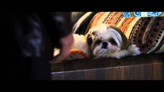 Seven Psychopaths - ONE DOG REVIEW, In Theaters Friday