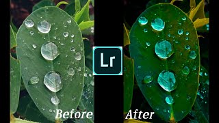 water drops in leave editing- Adobe Lightroom mobile filter screenshot 2