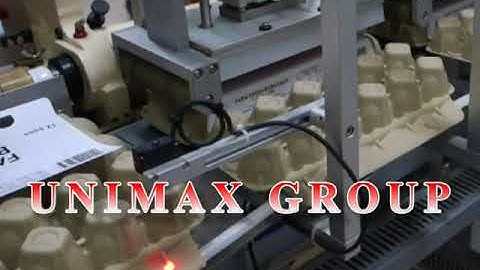 UNIMAX GROUP | 12-Cell Paper Pulp Egg Carton/Box/Tray Wet/Cold Glue Labeling Machine - EGMRA Series
