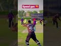 speed gun bowling #cricket #cricketlover #shortsfeed #shortsviral #shorts #bbl #indvspak