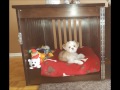 Grace Crate build Grace Crate build