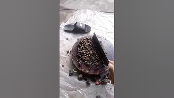 rảnh rỗi bắt ốc biểu vàng băm cho ca trê an cải thiện