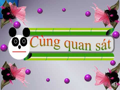 TLV: Luyện tập xây dựng đoạn văn trong bài văn miêu tả cây cối