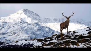 Dick Gaughan - The Snows They Melt The Soonest chords