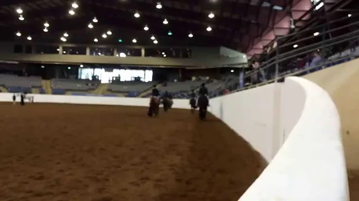 Donttouchmy tootsies AQHA 3 yo HUS show horse Conn...