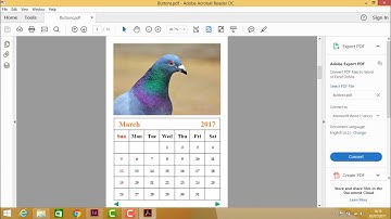 Adobe InDesign - Buttons