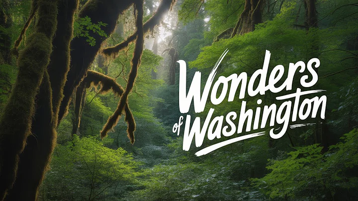 Wonders of Washington | The Most Amazing Places in Washington | Travel Video 4K