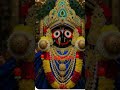 jai jaganath 🌹🌹🌹🙂#jaganathtemple #pro vlog and shorts