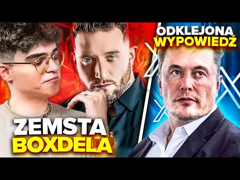 BOXDEL MASAKRUJE INFLUENCERÓW? (ELON MUSK, STUU, FORTNITE OG, CLOUT MMA, UFC, AFERA BETONOWA)