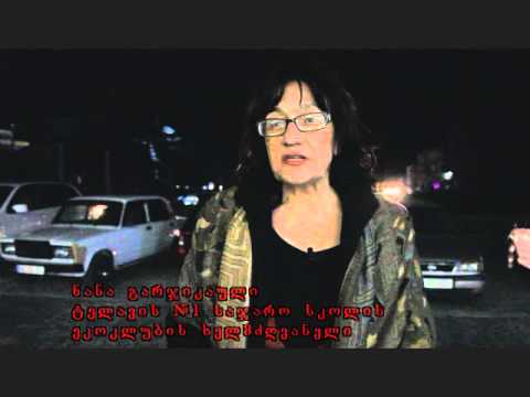 თელავში დედამიწის საათი აღნიშნეს