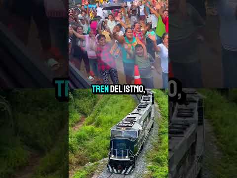 ✅ El Gobierno