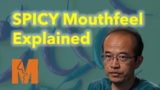 Understanding Mouthfeel: The Hidden Sensation of Eating