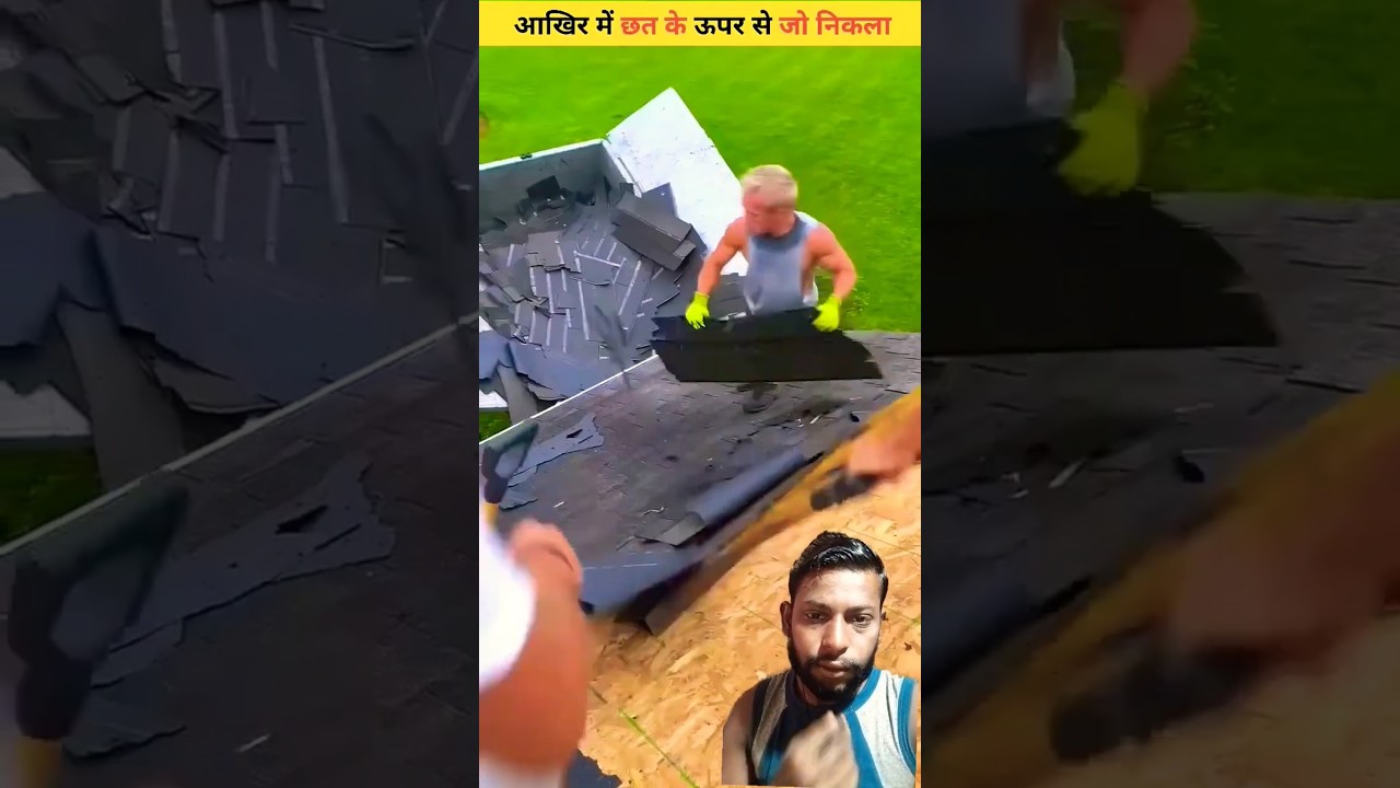 #factsछत के ऊपर से जो निकला 🤯 #shortvideo #shorts #stvideo #explorepage #viralvideo #trendingshorts
