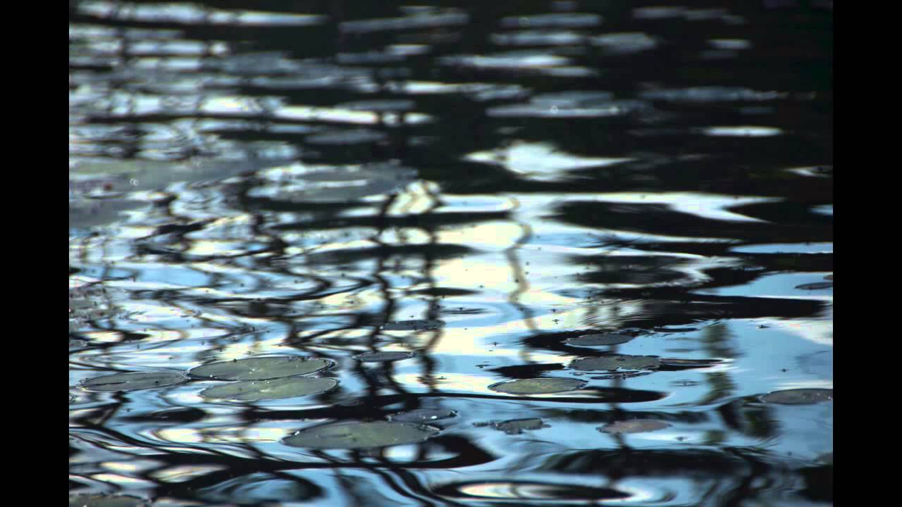 Sailing Away Jennifer Castle YouTube