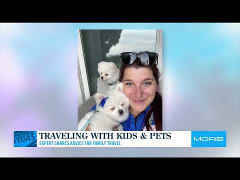 FOX Las Vegas Destination Sitters pet sitting video thumbnail