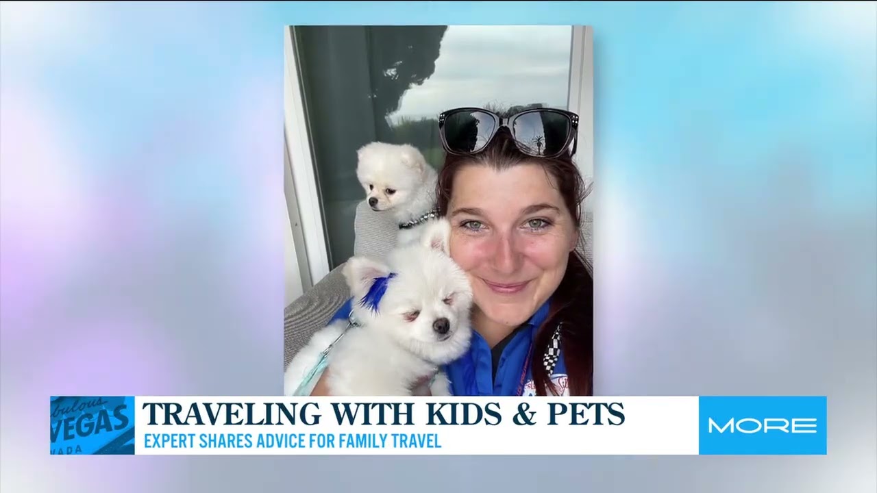 FOX Las Vegas Destination Sitters pet sitting video thumbnail